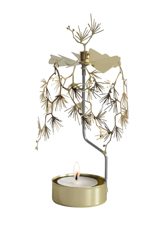 Kerzenhalter, Pine, gold