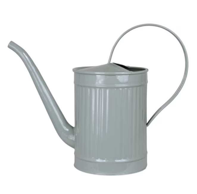 Hugo, Gießkanne, Grün