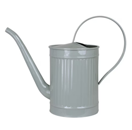 Hugo, Gießkanne, Grün