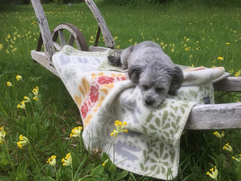 Lilla Snigel' Kinderplaid
